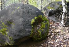 Photo of Леса, где время остановилось