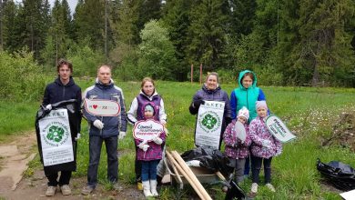 Photo of Борьба за сохранение городских лесов