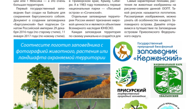 Photo of Охраняемые лесопарки: важность сохранения