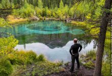 Photo of Таинственные лесные озера и болота