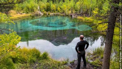 Photo of Таинственные лесные озера и болота