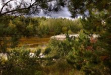 Photo of Лесные резерваты в городе