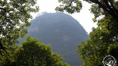 Photo of Легендарные лесные пещеры и ущелья