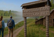 Photo of Леса, которые хранят тайны