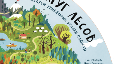 Photo of Уникальные лесные экосистемы планеты