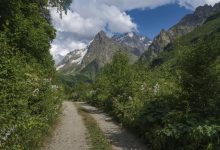 Photo of Лесные заповедники: сохраняем природу