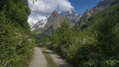 Photo of Лесные заповедники: сохраняем природу