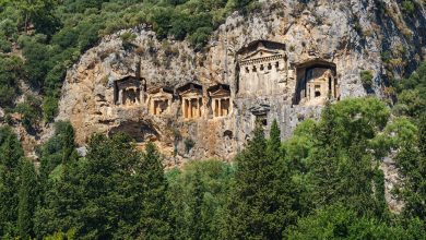 Photo of Древние лесные святыни мира