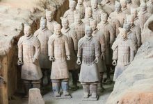 Photo of Исторические лесные памятники человечества