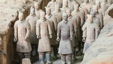 Photo of Исторические лесные памятники человечества