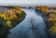 Photo of Заповедные земли: царство дикой природы