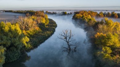 Photo of Заповедные земли: царство дикой природы