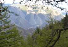 Photo of Лесные заповедники: богатство биоразнообразия