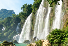 Photo of Охраняемые лесопарки мира