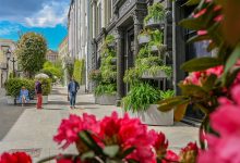 Photo of Зеленые оазисы в городе