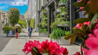 Photo of Зеленые оазисы в городе