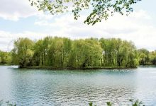 Photo of Лесопарки под защитой государства