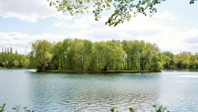 Photo of Лесопарки под защитой государства