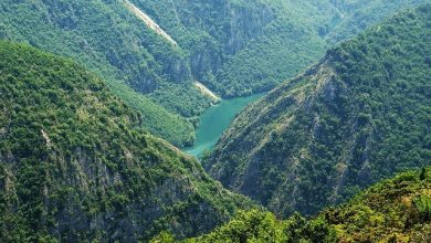 Photo of Лесные долины и каньоны мира