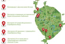 Photo of Сокровища заповедных лесов