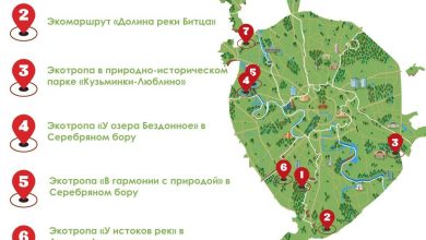 Photo of Сокровища заповедных лесов