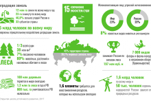 Photo of Сохранение лесных экосистем