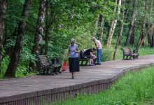 Photo of Охраняемые лесопарки: места отдыха и обучения