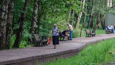 Photo of Охраняемые лесопарки: места отдыха и обучения