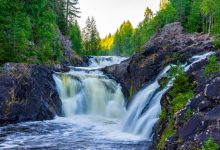 Photo of Лесные реки и водопады дикой природы