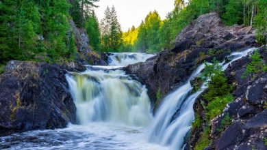 Photo of Лесные реки и водопады дикой природы