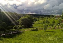 Photo of Уединенные леса: природный рай