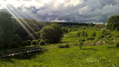 Photo of Уединенные леса: природный рай