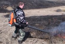 Photo of Сохранение лесных ресурсов в заповедниках