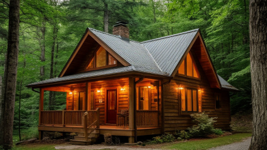 Photo of Заповедные леса: уединение и покой