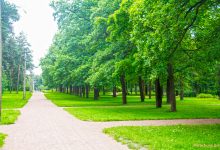 Photo of Лесопарки: природные сокровища
