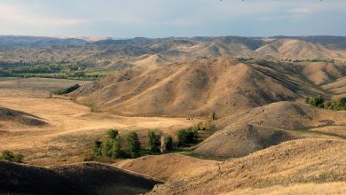 Photo of Сакральные лесные холмы и горы